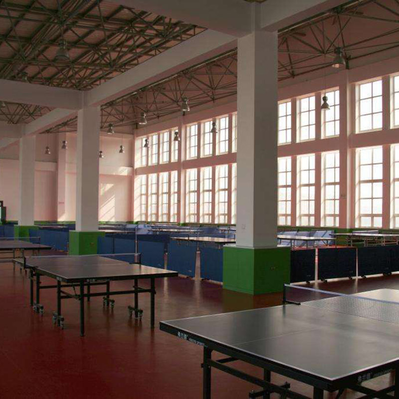 Factory Cheap Hot Sports Floor Pvc - Table Tennis Court Floor Weave Pattern 1305R – Dongxing