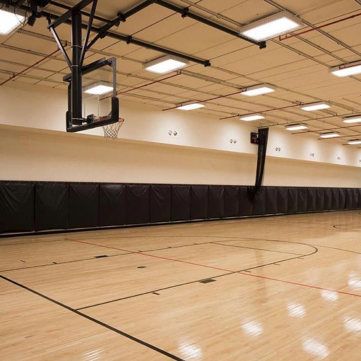 Low price for Gym Rubber Floor Tile - Vinyl Basketball Floor Scree Pattern 1405 – Dongxing